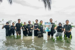 3000 Mangrove Plants for a Greener Future : Digital Edge Indonesia Celebrates World Tree Day 2024
