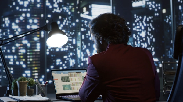 Analyst reviewing authorized financial records practices